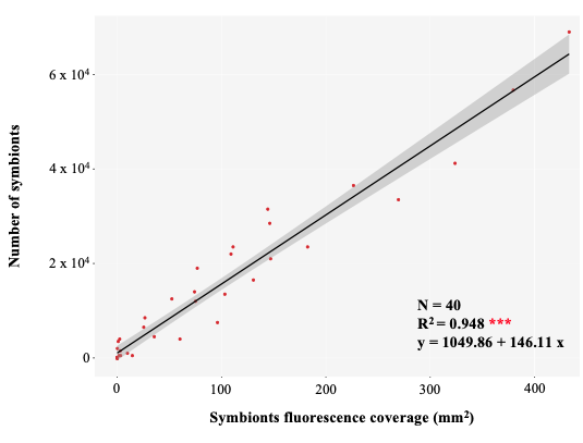 Screenshot 2019-05-17 16.21.19.png