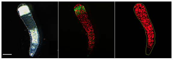 Screenshot 2019-05-17 16.22.00.png