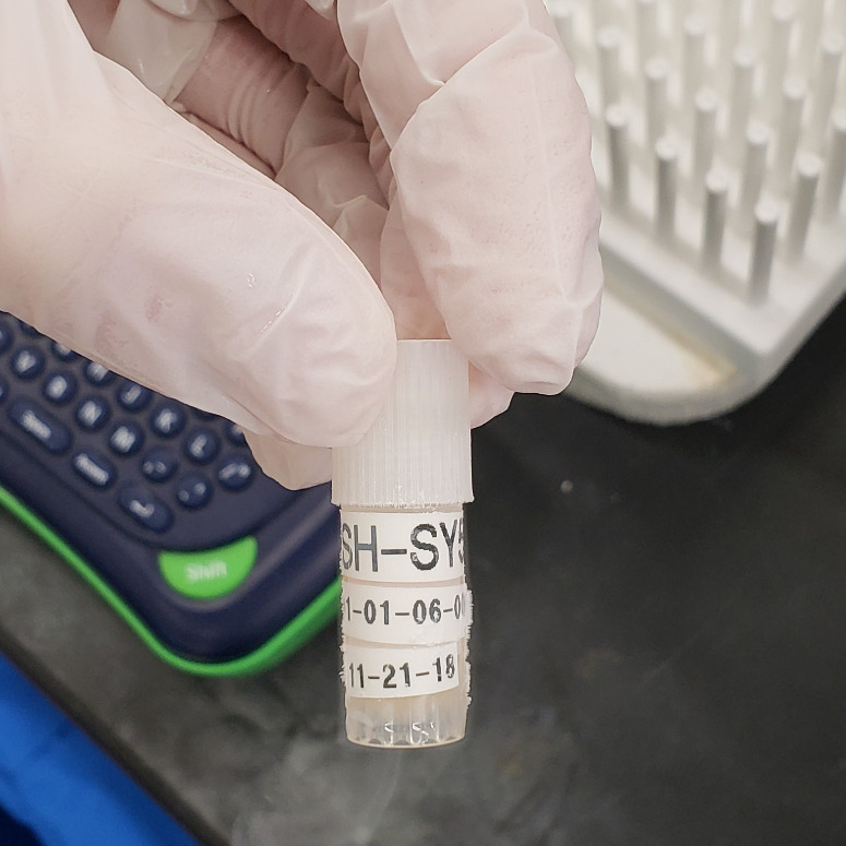 Mammalian Cell Culture Freezing