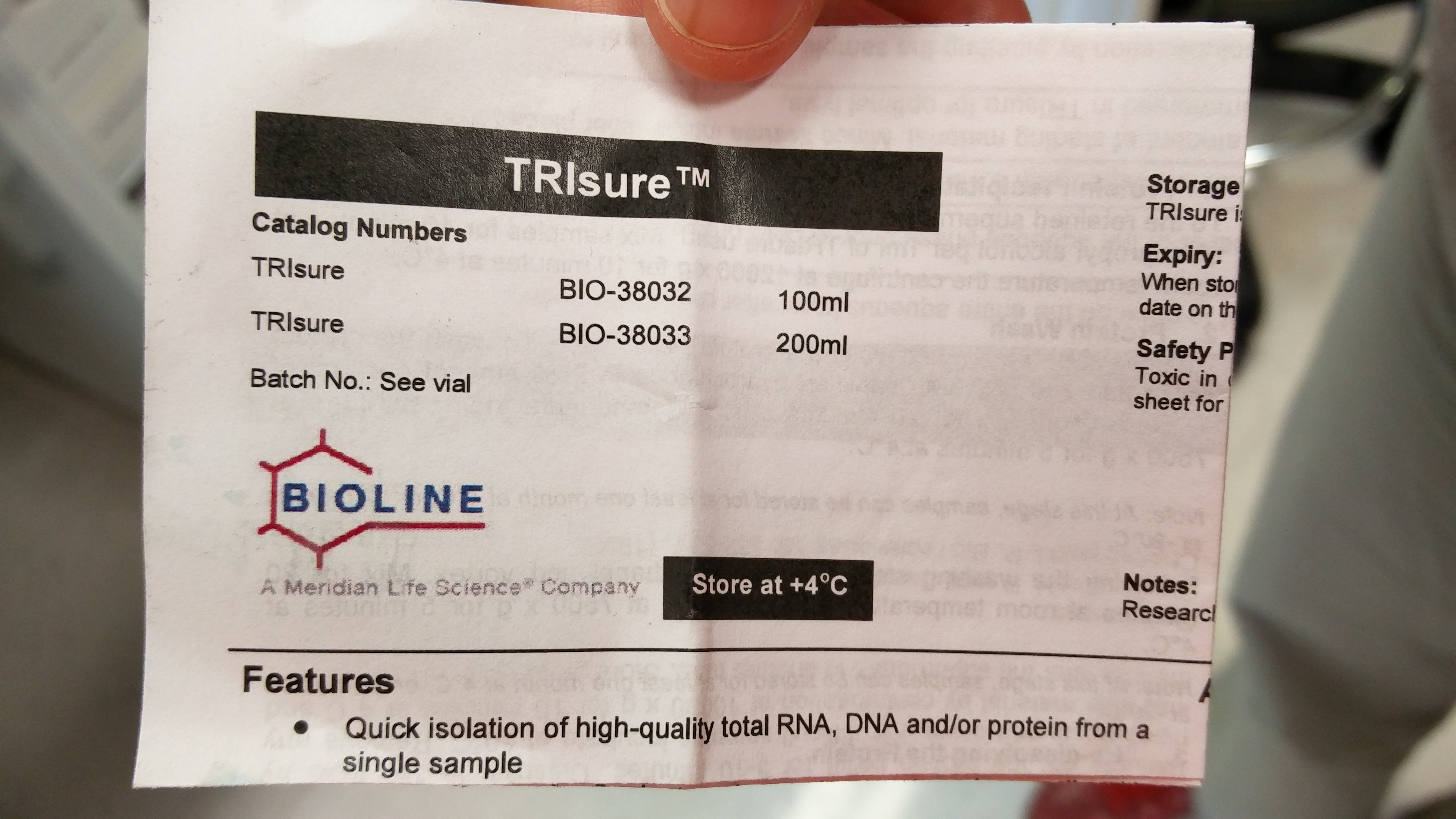 Extracting total RNA from Caenorhabditis elegans using phaselock gel