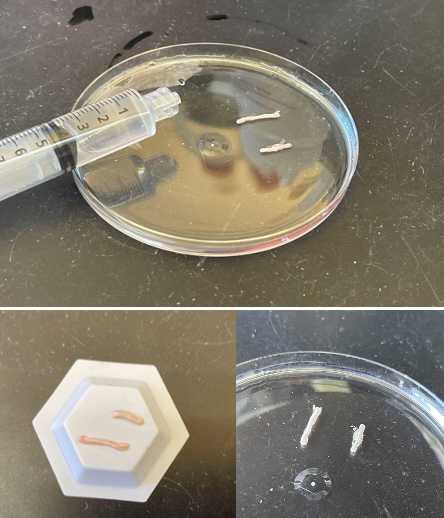 Screenshot 2025-07-01 at 12.02.28 PM.jpg