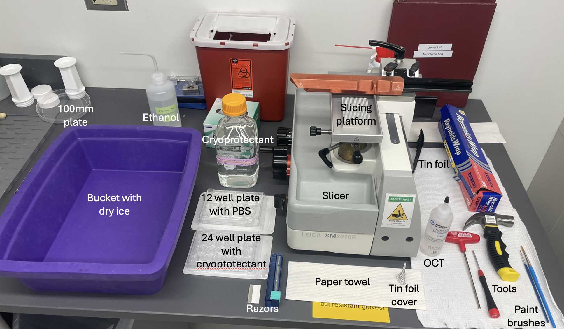 Screenshot 2026-03-26 at 4.25.02 PM.png