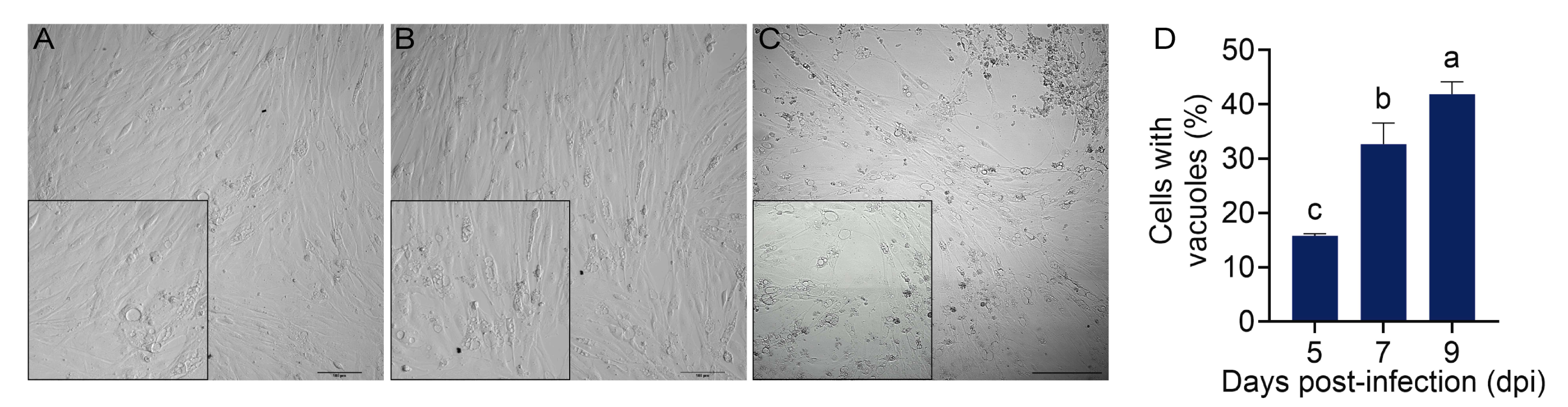 Figure 1 No legend.png