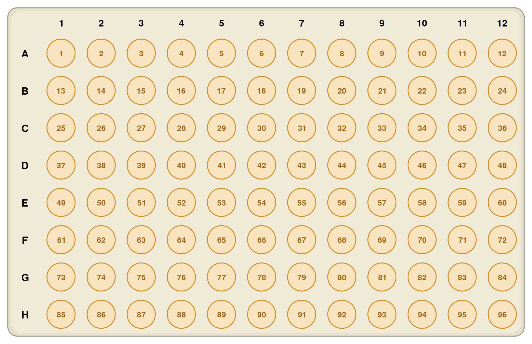 A schematic showing the relationship of sample number with well position in a 96wp