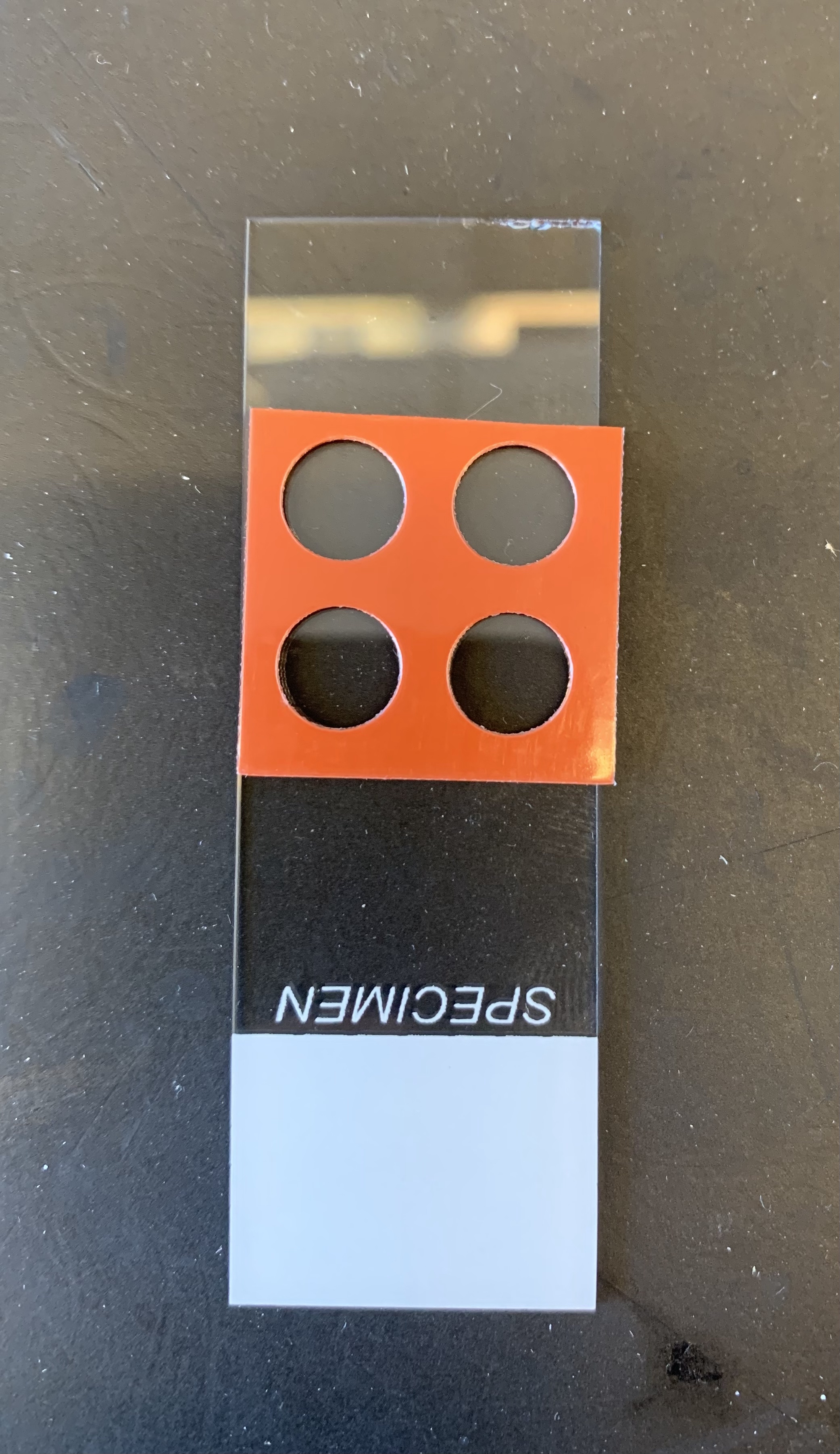 Download Chambers.jpg