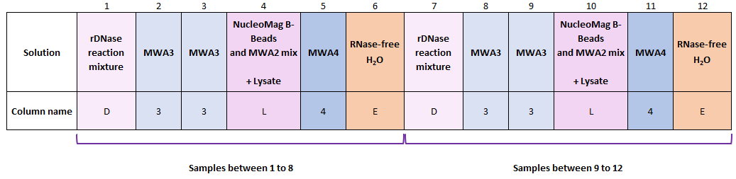 Capture d’écran 2024-02-26 144155.png