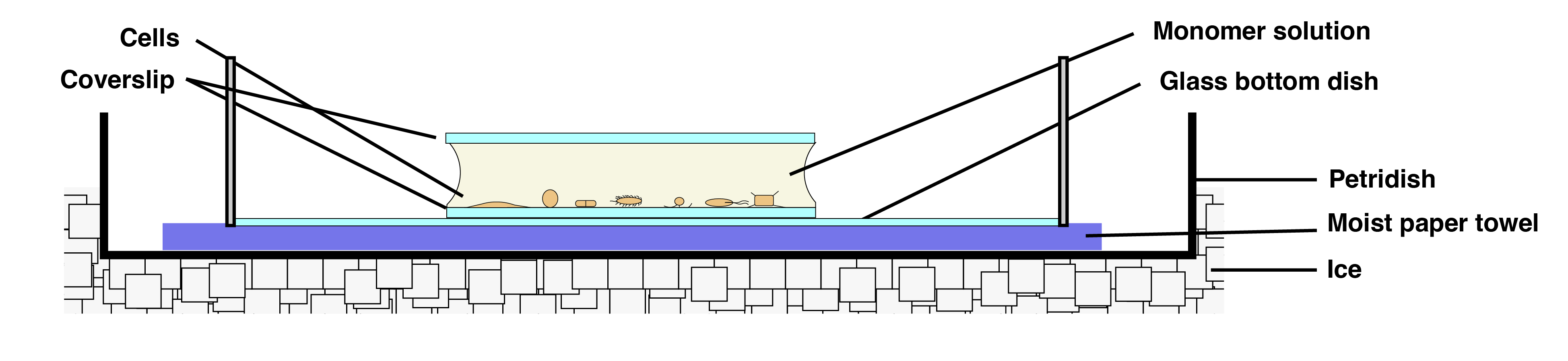 Gelation setup_pre.png