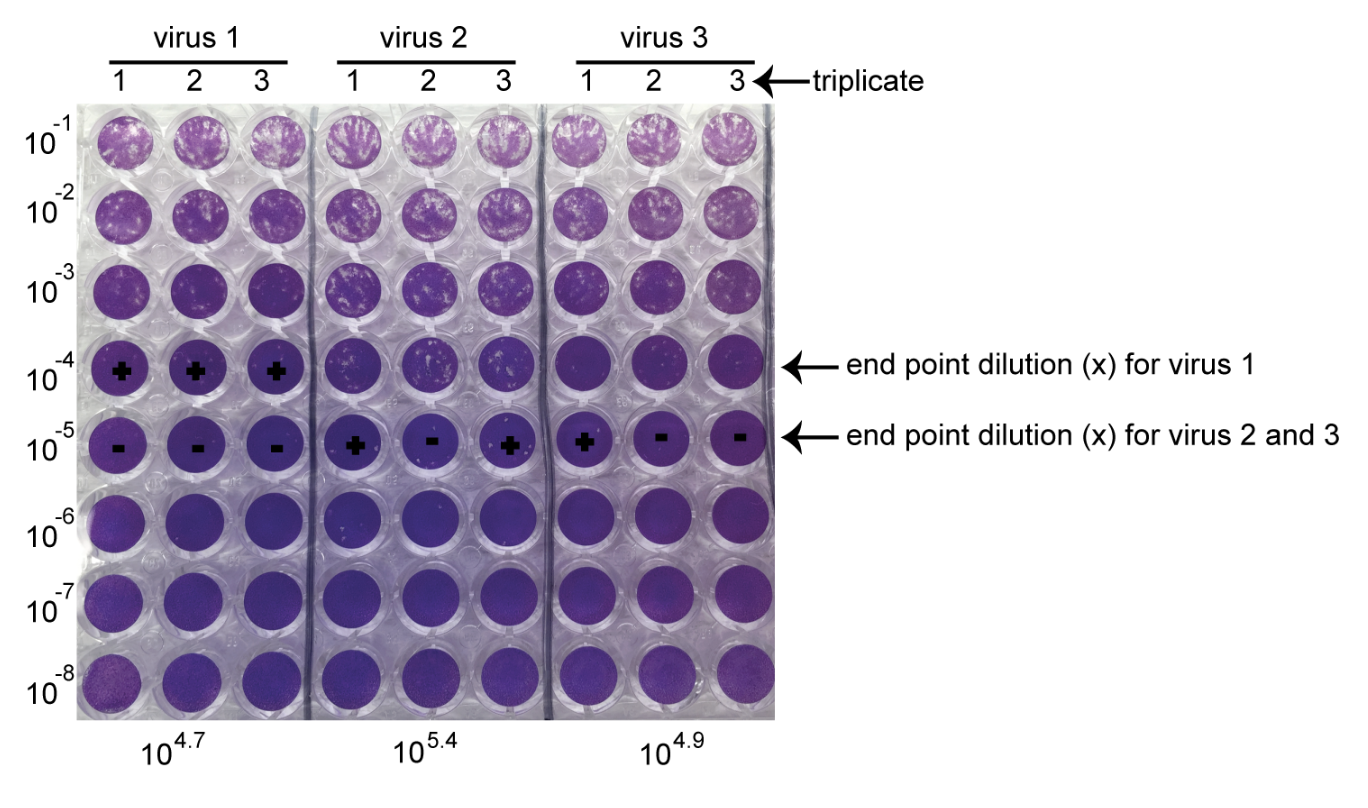 Screenshot 2025-10-01 at 4.16.32 PM.png