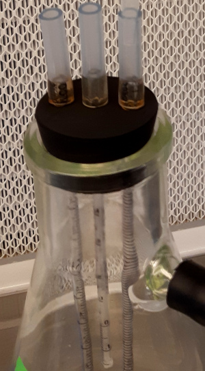 Download DIY 3x manifold.jpg