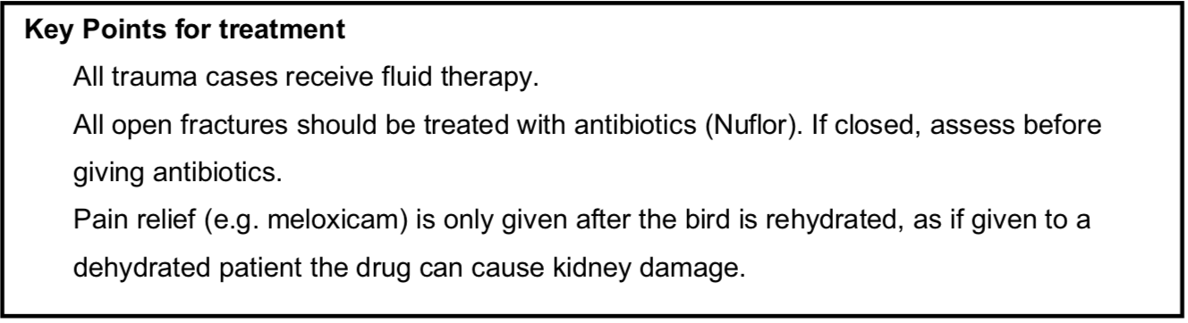 Screen Shot 2020-09-20 at 4.47.24 PM.png