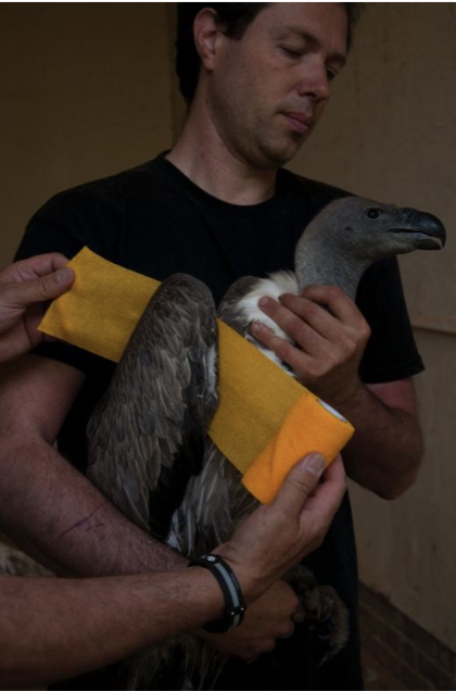 Screen Shot 2020-09-20 at 4.51.03 PM.png