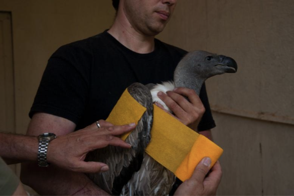 Screen Shot 2020-09-20 at 4.51.37 PM.png