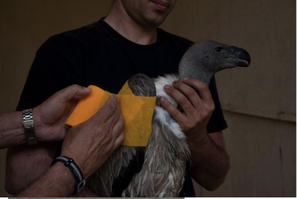 Screen Shot 2020-09-20 at 4.52.02 PM.png