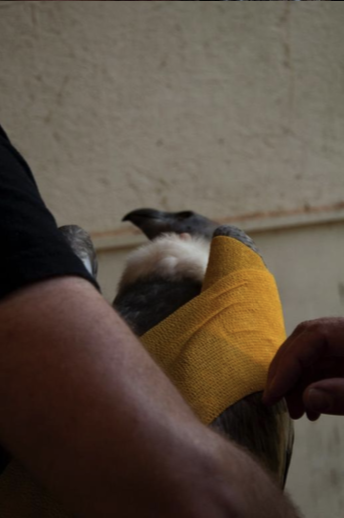 Screen Shot 2020-09-20 at 4.52.27 PM.png