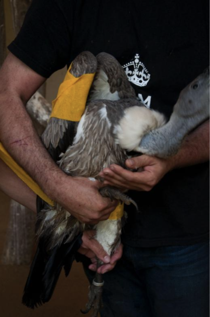 Screen Shot 2020-09-20 at 4.53.19 PM.png