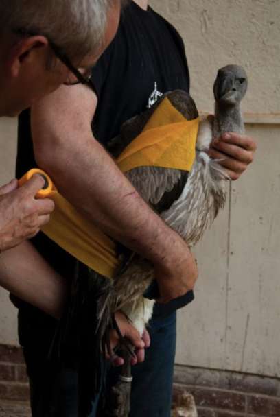 Screen Shot 2020-09-20 at 4.53.57 PM.png