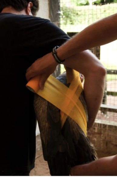 Screen Shot 2020-09-20 at 4.54.24 PM.png