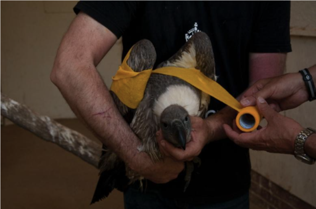 Screen Shot 2020-09-20 at 4.54.52 PM.png