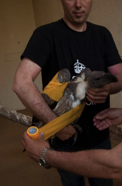 Screen Shot 2020-09-20 at 4.56.01 PM.png