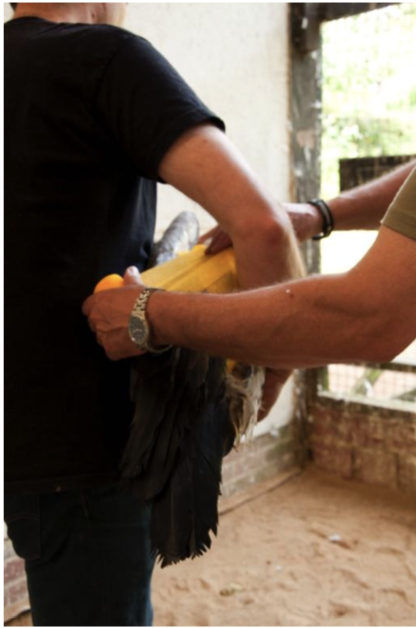 Screen Shot 2020-09-20 at 4.58.23 PM.png