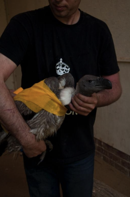 Screen Shot 2020-09-20 at 4.59.22 PM.png