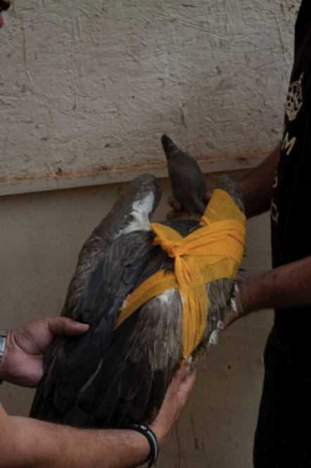 Screen Shot 2020-09-20 at 4.59.58 PM.png