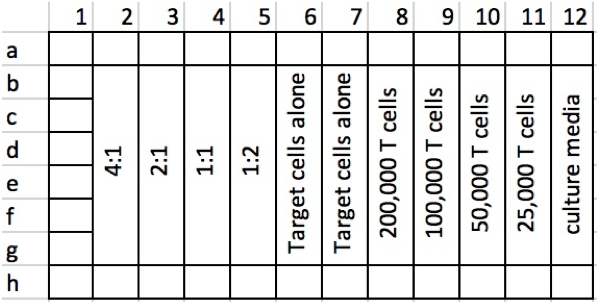 2d-cytotoxicity-plate-layout.png