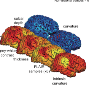MELD Protocol 1 - Patient and Control Inclusion in the MELD Project
